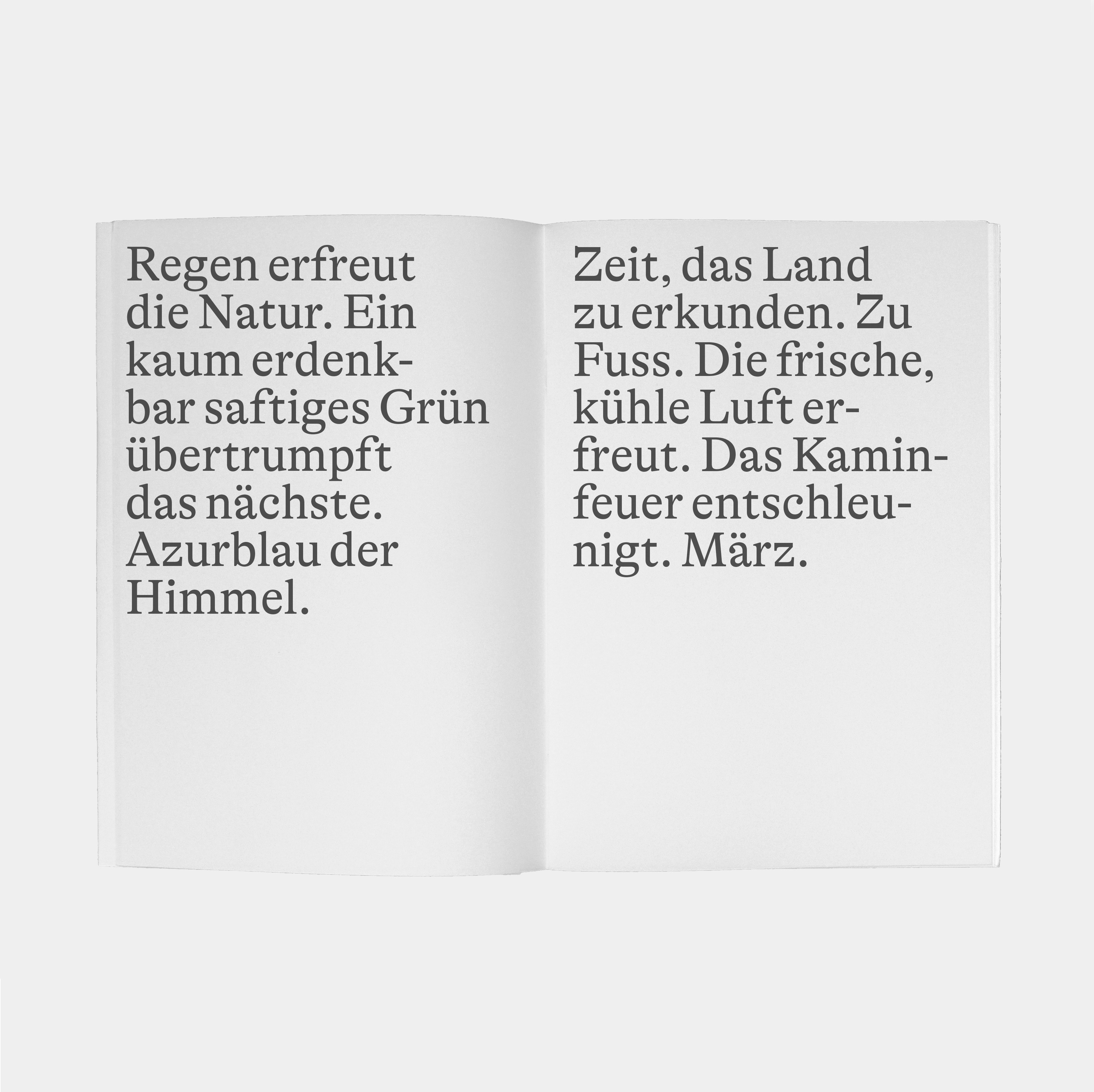 Buch Un Anno